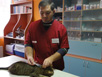 Cabinet Veterinar Brasov - Imagine 11